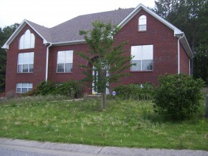 Short Sale/Foreclosure with overgrown lawn