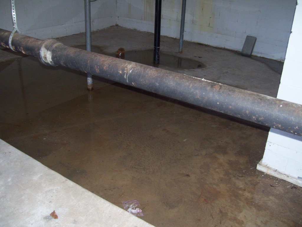 Birmingham, Alabama home with water in basement 2