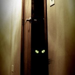 why do appraisers look in closets