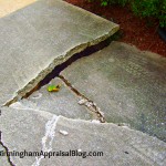 This is an FHA repair item