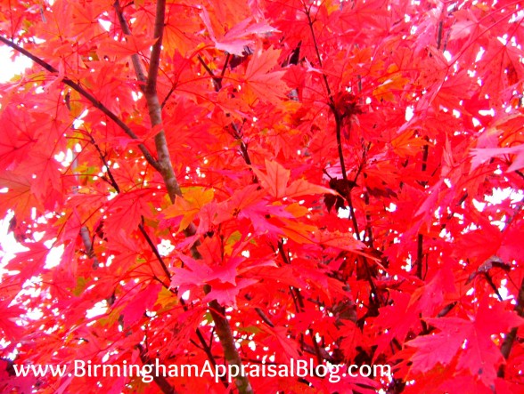 Birmingham in the fall